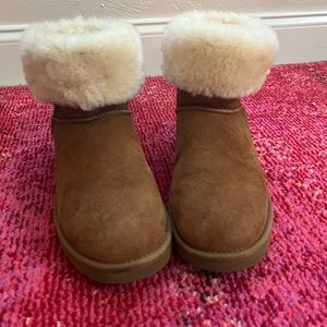 Classic Short Ugg - Chestnut Size 8